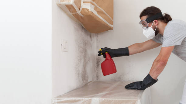 Professional Basement Mold Remediation technician working in Hope Mills, NC