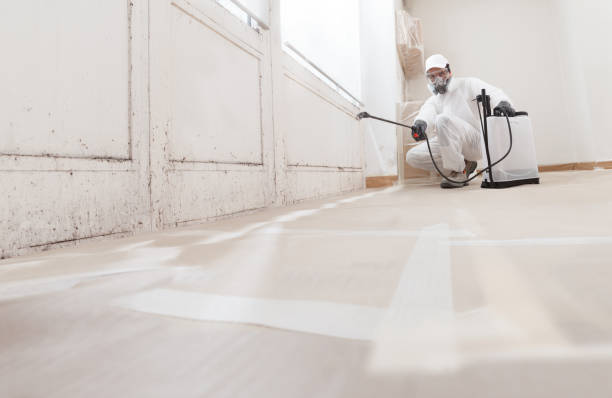 24/7 Emergency Basement Mold Remediation experts in Hope Mills, NC