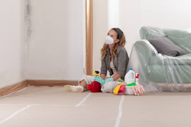 Reliable Basement Mold Remediation contractor in Hope Mills, NC by WQB Mold Removal