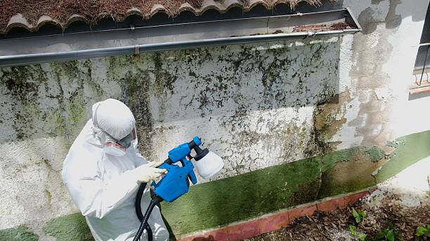 Top rated local Basement Mold Remediation specialists in Hope Mills, NC
